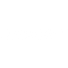 aladdinsane